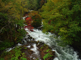 DSCF4022.jpg