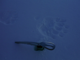 DSCF9981.jpg