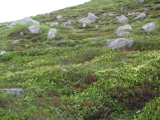 武華山 003.JPG
