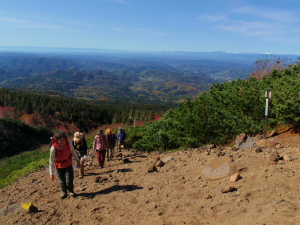 PA149324.jpg