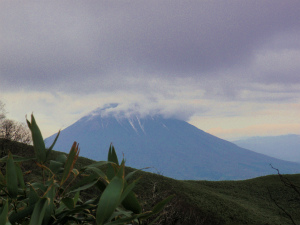 PA209394.jpg