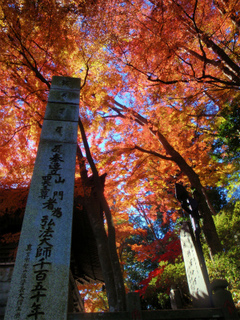 PB210231.jpg
